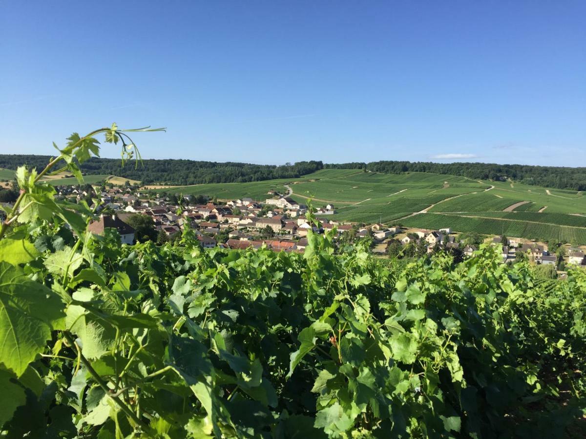 Mille Et Une Bulles 51 Brugny-Vaudancourt Esterno foto